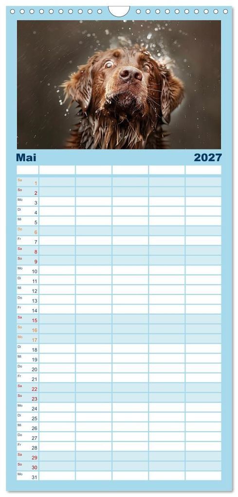 Weitere Ansicht: Familienplaner 2027 - Hunde und Wasser mit 5 Spalten (Wandkalender, 21 x 45 cm) CALVENDO | Daniela Tapper, Calvendo