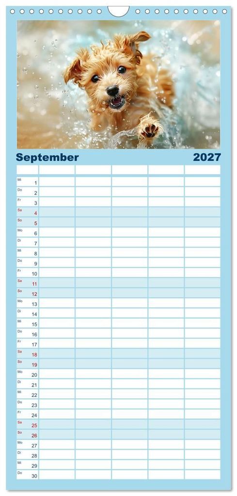Weitere Ansicht: Familienplaner 2027 - Hunde und Wasser mit 5 Spalten (Wandkalender, 21 x 45 cm) CALVENDO | Daniela Tapper, Calvendo
