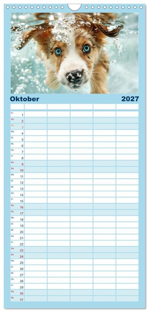 Weitere Ansicht: Familienplaner 2027 - Hunde und Wasser mit 5 Spalten (Wandkalender, 21 x 45 cm) CALVENDO | Daniela Tapper, Calvendo