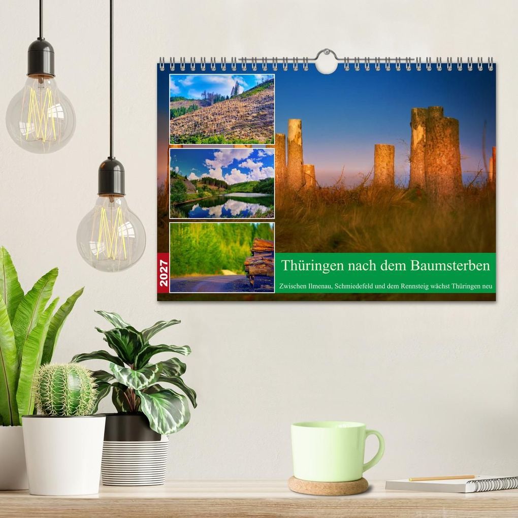 Weitere Ansicht: Thüringen nach dem Baumsterben (Wandkalender 2027 DIN A4 quer), CALVENDO Monatskalender | Torsten Irmer, Calvendo