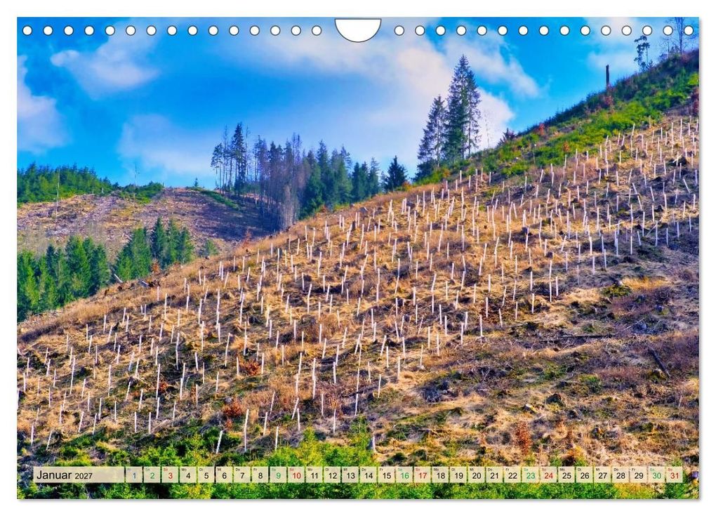 Weitere Ansicht: Thüringen nach dem Baumsterben (Wandkalender 2027 DIN A4 quer), CALVENDO Monatskalender | Torsten Irmer, Calvendo