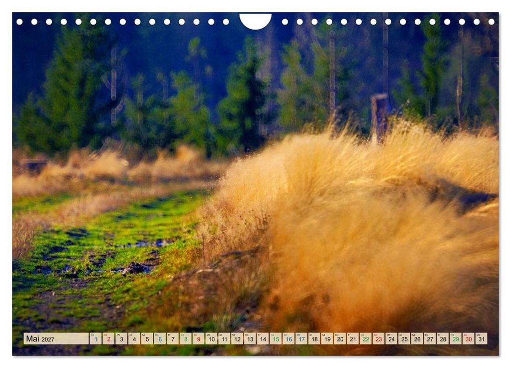 Weitere Ansicht: Thüringen nach dem Baumsterben (Wandkalender 2027 DIN A4 quer), CALVENDO Monatskalender | Torsten Irmer, Calvendo