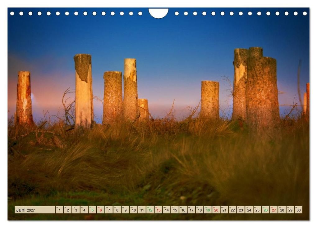 Weitere Ansicht: Thüringen nach dem Baumsterben (Wandkalender 2027 DIN A4 quer), CALVENDO Monatskalender | Torsten Irmer, Calvendo