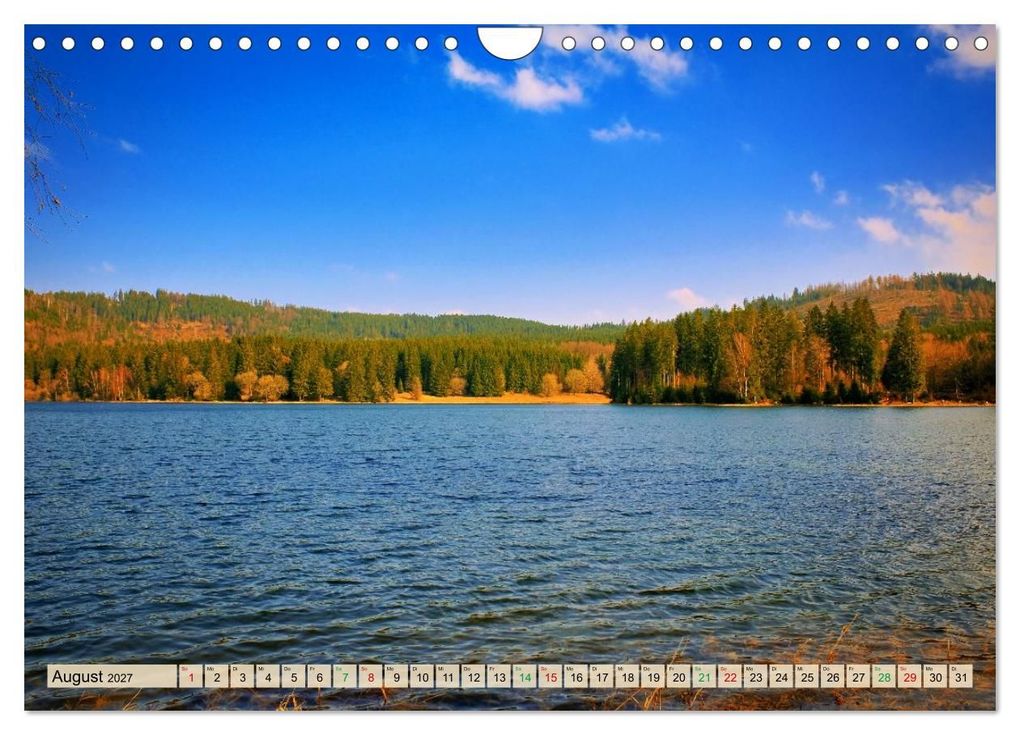 Weitere Ansicht: Thüringen nach dem Baumsterben (Wandkalender 2027 DIN A4 quer), CALVENDO Monatskalender | Torsten Irmer, Calvendo