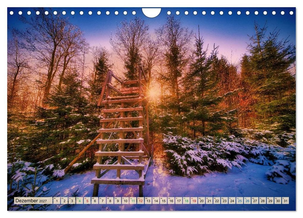 Weitere Ansicht: Thüringen nach dem Baumsterben (Wandkalender 2027 DIN A4 quer), CALVENDO Monatskalender | Torsten Irmer, Calvendo