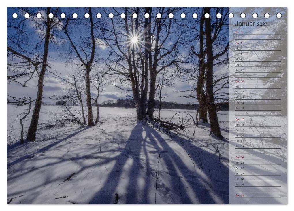 Weitere Ansicht: Unser Wald - Magische Sichten in norddeutsche Wälder / Geburtstagskalender (Tischkalender 2027 DIN A5 quer), CALVENDO Monatskalender | Heike Langenkamp, Calvendo