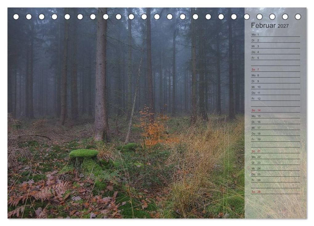 Weitere Ansicht: Unser Wald - Magische Sichten in norddeutsche Wälder / Geburtstagskalender (Tischkalender 2027 DIN A5 quer), CALVENDO Monatskalender | Heike Langenkamp, Calvendo