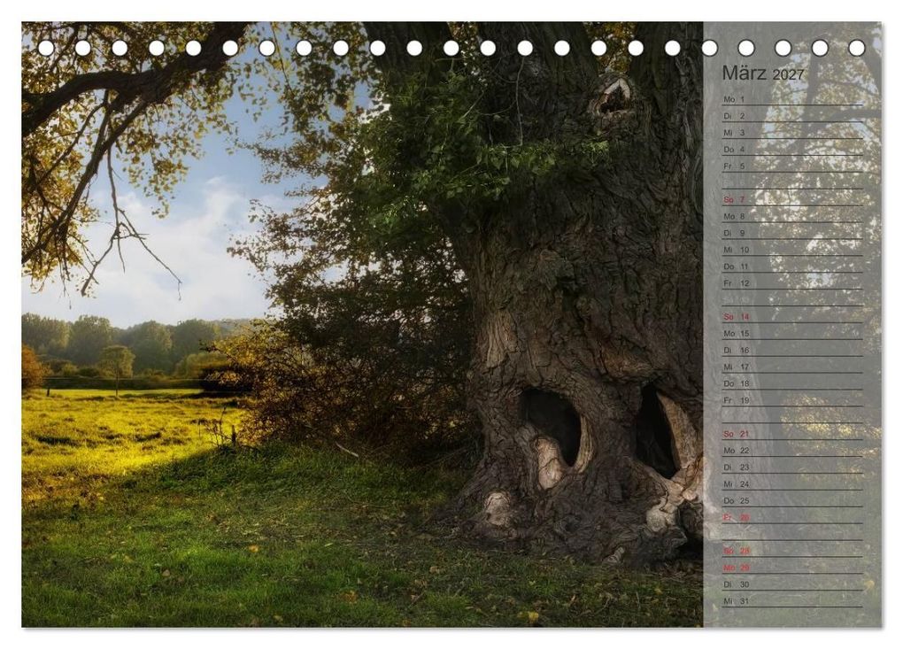 Weitere Ansicht: Unser Wald - Magische Sichten in norddeutsche Wälder / Geburtstagskalender (Tischkalender 2027 DIN A5 quer), CALVENDO Monatskalender | Heike Langenkamp, Calvendo