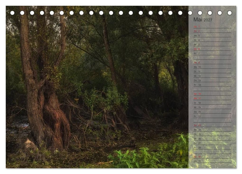 Weitere Ansicht: Unser Wald - Magische Sichten in norddeutsche Wälder / Geburtstagskalender (Tischkalender 2027 DIN A5 quer), CALVENDO Monatskalender | Heike Langenkamp, Calvendo