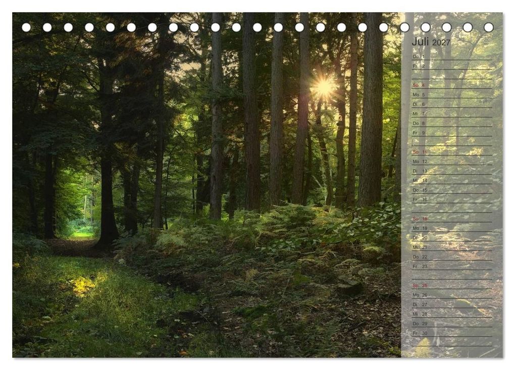 Weitere Ansicht: Unser Wald - Magische Sichten in norddeutsche Wälder / Geburtstagskalender (Tischkalender 2027 DIN A5 quer), CALVENDO Monatskalender | Heike Langenkamp, Calvendo