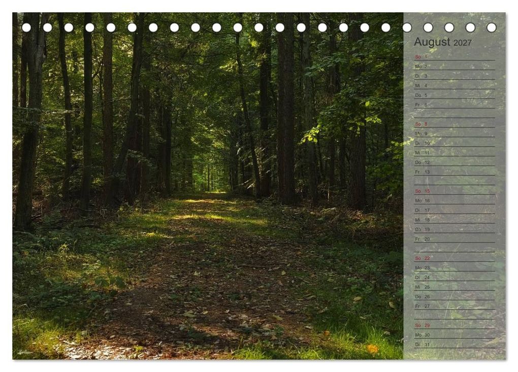 Weitere Ansicht: Unser Wald - Magische Sichten in norddeutsche Wälder / Geburtstagskalender (Tischkalender 2027 DIN A5 quer), CALVENDO Monatskalender | Heike Langenkamp, Calvendo