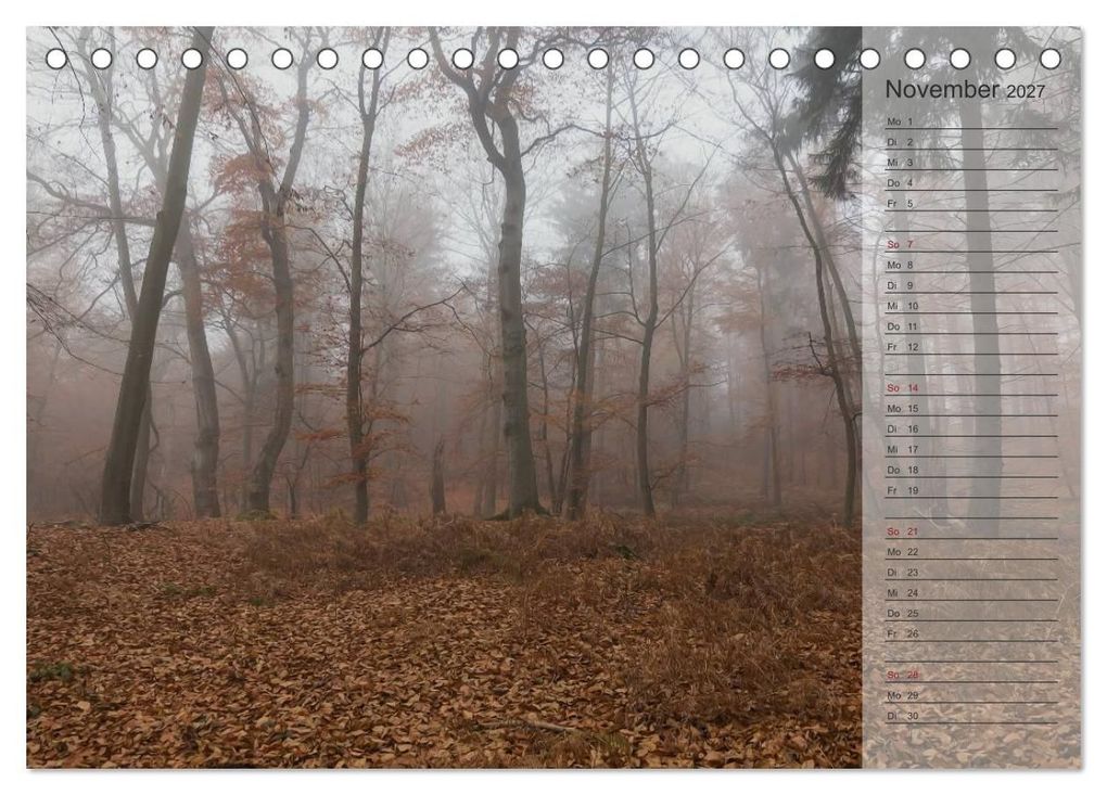 Weitere Ansicht: Unser Wald - Magische Sichten in norddeutsche Wälder / Geburtstagskalender (Tischkalender 2027 DIN A5 quer), CALVENDO Monatskalender | Heike Langenkamp, Calvendo