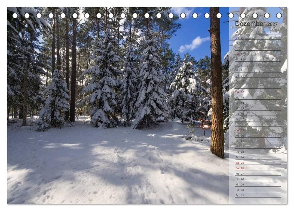 Weitere Ansicht: Unser Wald - Magische Sichten in norddeutsche Wälder / Geburtstagskalender (Tischkalender 2027 DIN A5 quer), CALVENDO Monatskalender | Heike Langenkamp, Calvendo