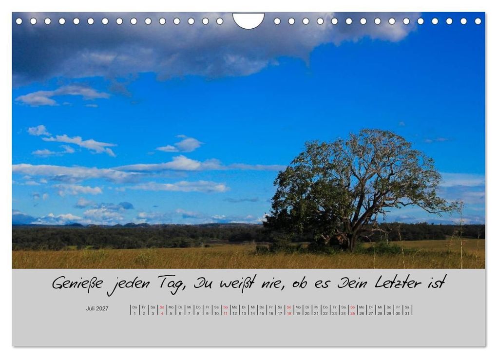 Weitere Ansicht: Kleine und große Wahrheiten - Sprüche zum Nachdenken (Wandkalender 2027 DIN A4 quer), CALVENDO Monatskalender | Ursula Di Chito, Calvendo