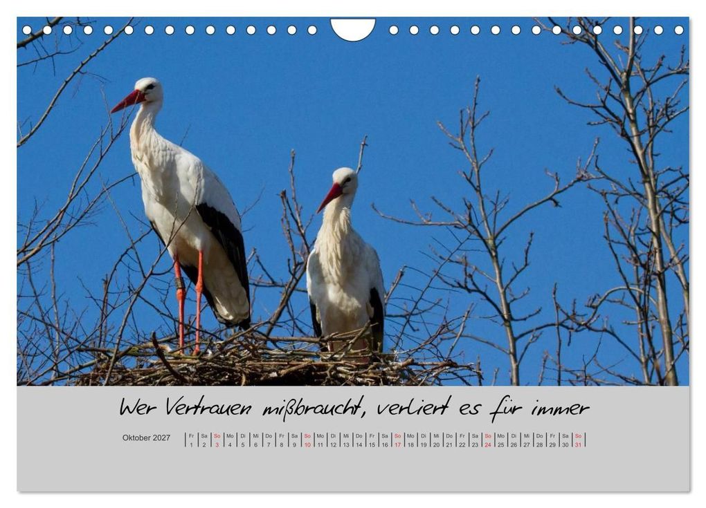Weitere Ansicht: Kleine und große Wahrheiten - Sprüche zum Nachdenken (Wandkalender 2027 DIN A4 quer), CALVENDO Monatskalender | Ursula Di Chito, Calvendo