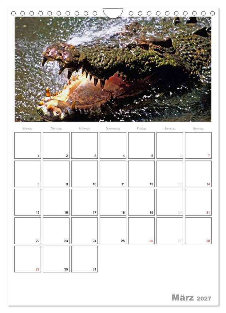 Weitere Ansicht: Australien - Terminplaner (Wandkalender 2027 DIN A4 hoch), CALVENDO Monatskalender | Rainer Grosskopf, Calvendo