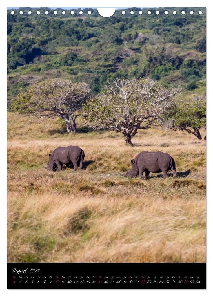 Weitere Ansicht: Südafrika - Sehenswerte Panorama Route (Wandkalender 2027 DIN A4 hoch), CALVENDO Monatskalender | Thomas Klinder, Calvendo