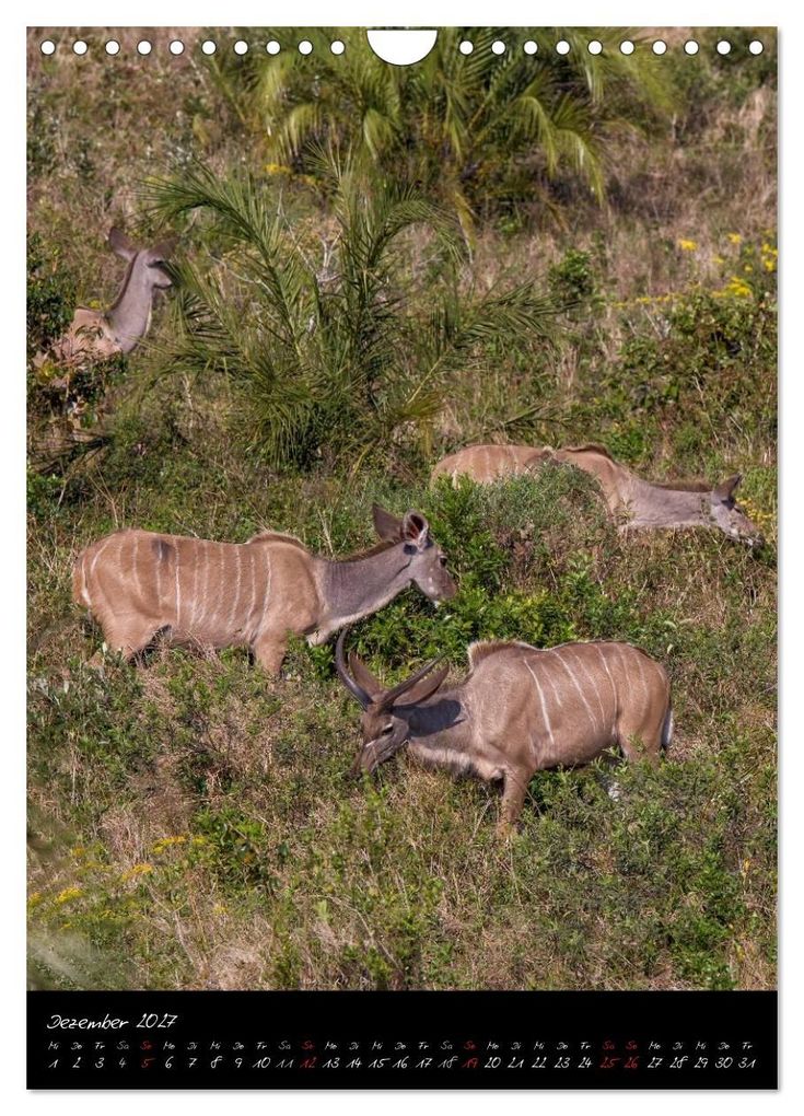 Weitere Ansicht: Südafrika - Sehenswerte Panorama Route (Wandkalender 2027 DIN A4 hoch), CALVENDO Monatskalender | Thomas Klinder, Calvendo