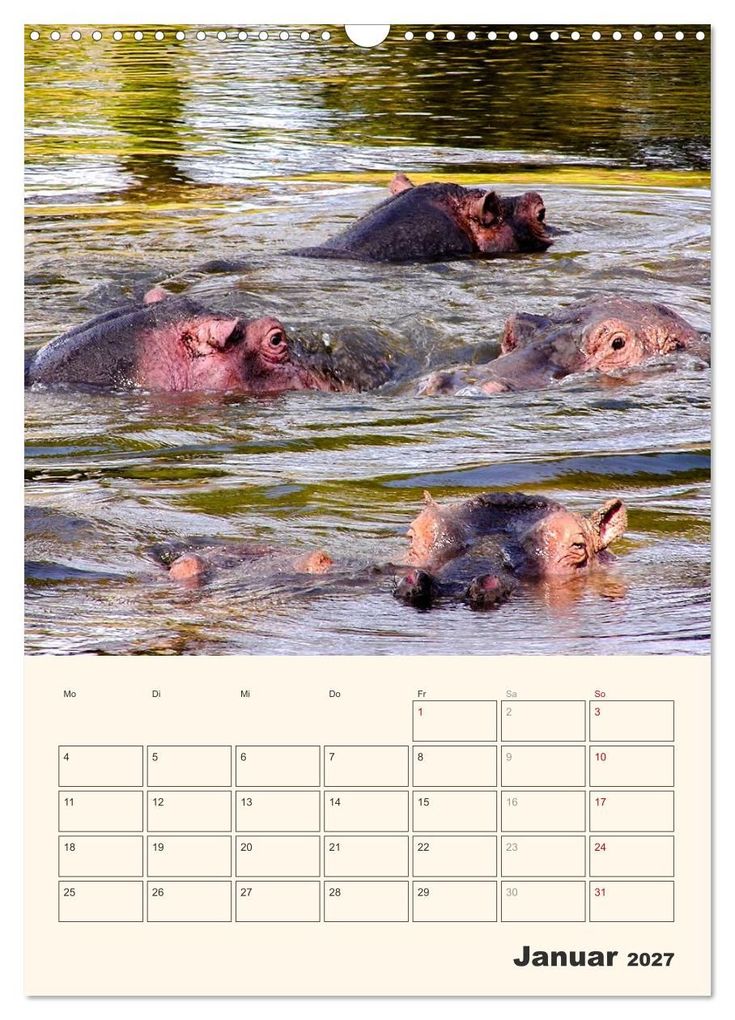Weitere Ansicht: Kenia - Terminplaner (Wandkalender 2027 DIN A3 hoch), CALVENDO Monatskalender | Sabine Bieg, Calvendo