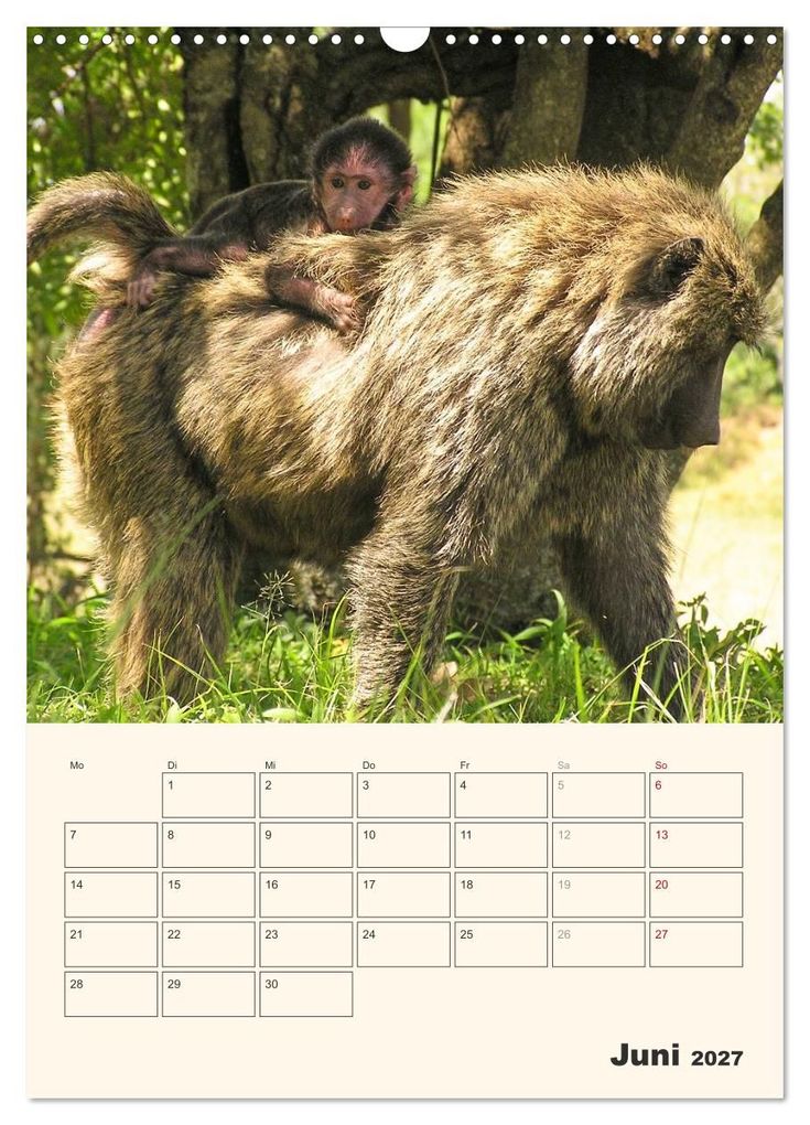 Weitere Ansicht: Kenia - Terminplaner (Wandkalender 2027 DIN A3 hoch), CALVENDO Monatskalender | Sabine Bieg, Calvendo