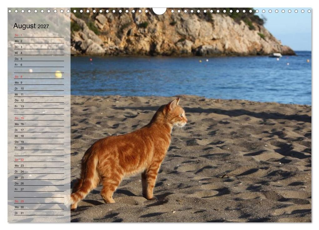 Weitere Ansicht: Zauberhaftes Ibiza - Terminplaner (Wandkalender 2027 DIN A3 quer), CALVENDO Monatskalender | Antje Lindert-Rottke, Calvendo