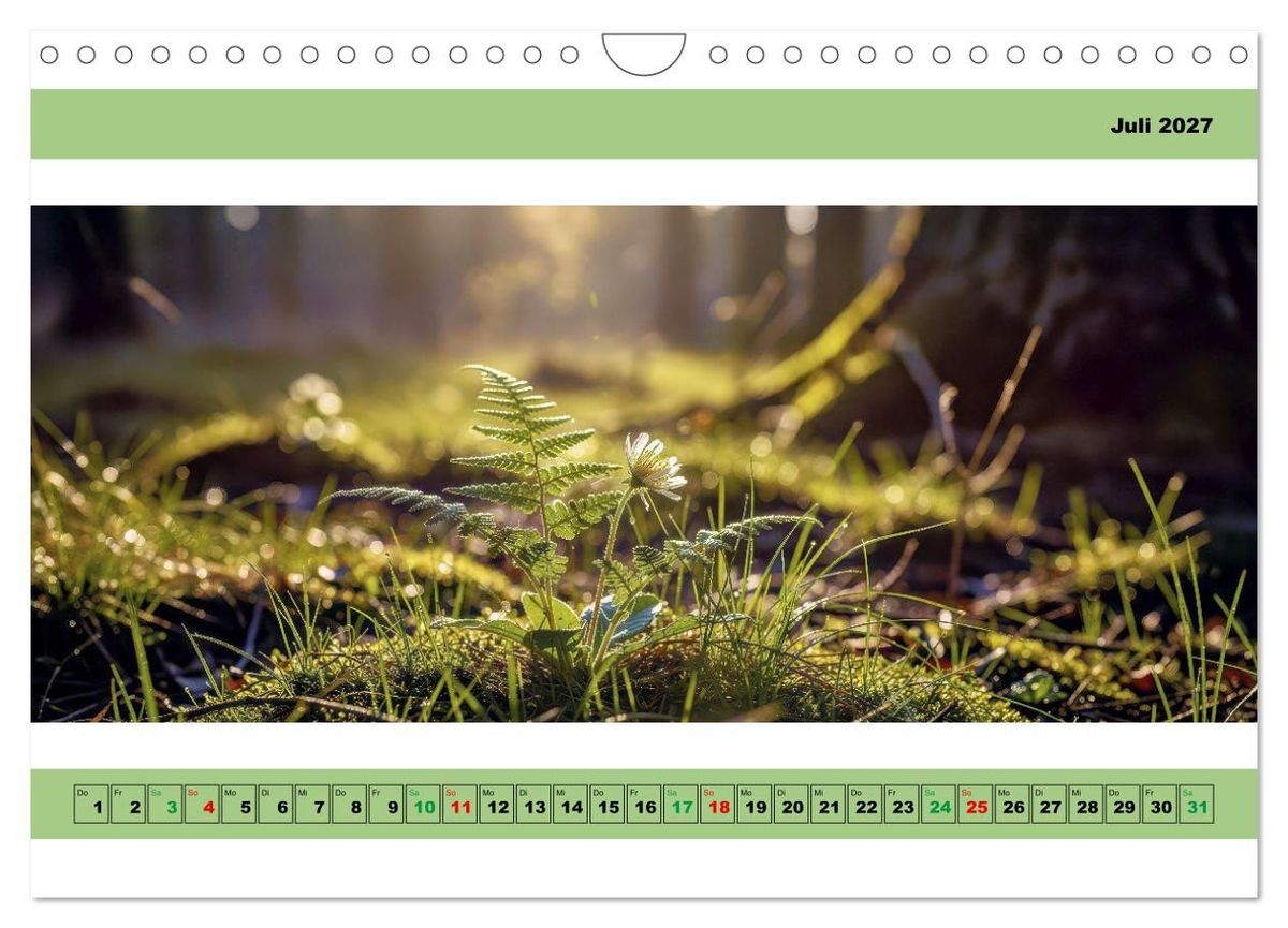 Weitere Ansicht: Naturaufnahmen - Panorama (Wandkalender 2027 DIN A4 quer), CALVENDO Monatskalender | Torsten Irmer, Calvendo