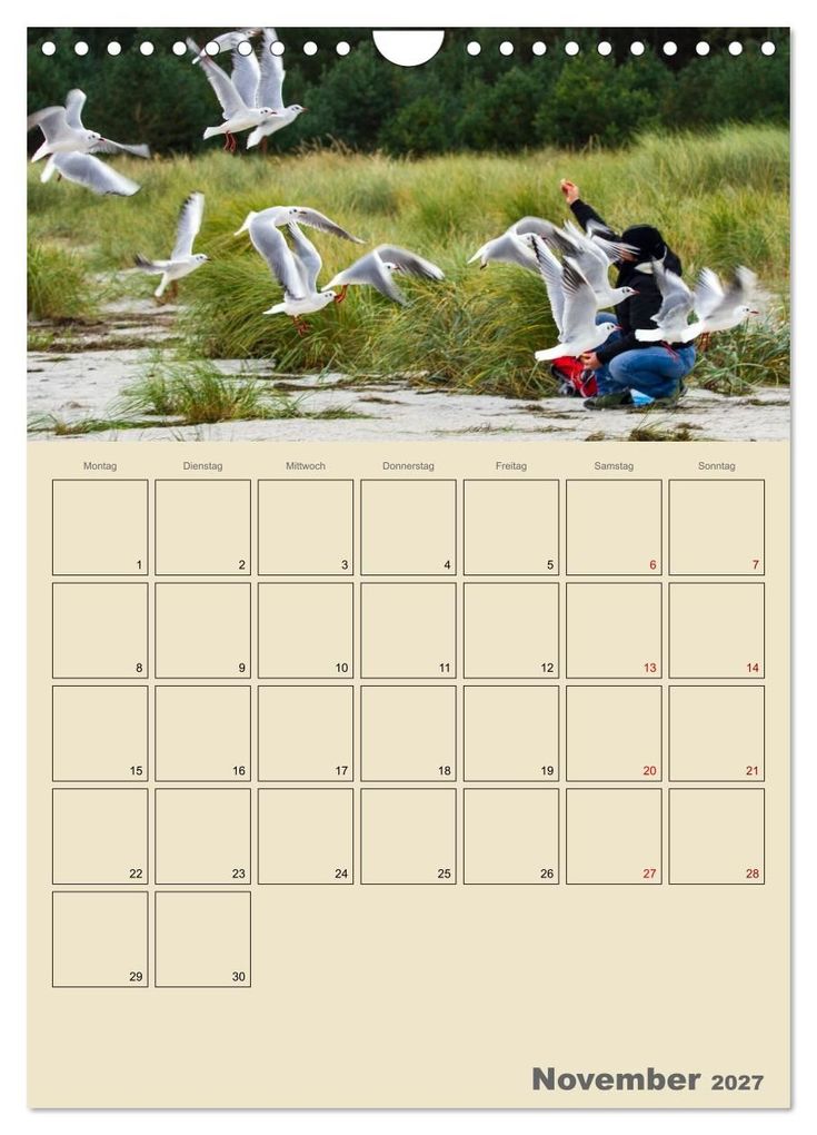 Weitere Ansicht: Ostseebad Prerow - Ein Darßer Moment - Terminplaner (Wandkalender 2027 DIN A4 hoch), CALVENDO Monatskalender | Lisa Xilef, Calvendo