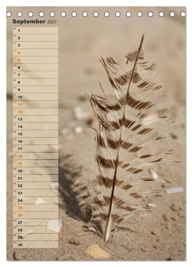 Weitere Ansicht: Zwischen Dünen und Watt / Geburtstagskalender (Tischkalender 2027 DIN A5 hoch), CALVENDO Monatskalender | Kathleen Bergmann, Calvendo