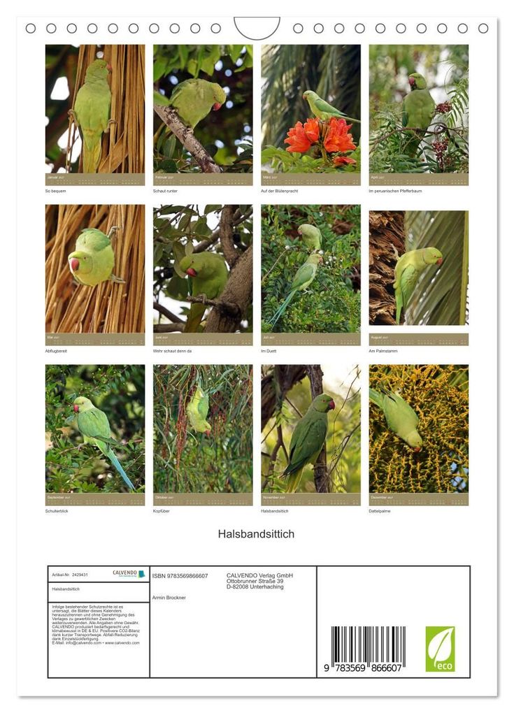 Weitere Ansicht: Halsbandsittich (Wandkalender 2027 DIN A4 hoch), CALVENDO Monatskalender | Armin Brockner, Calvendo