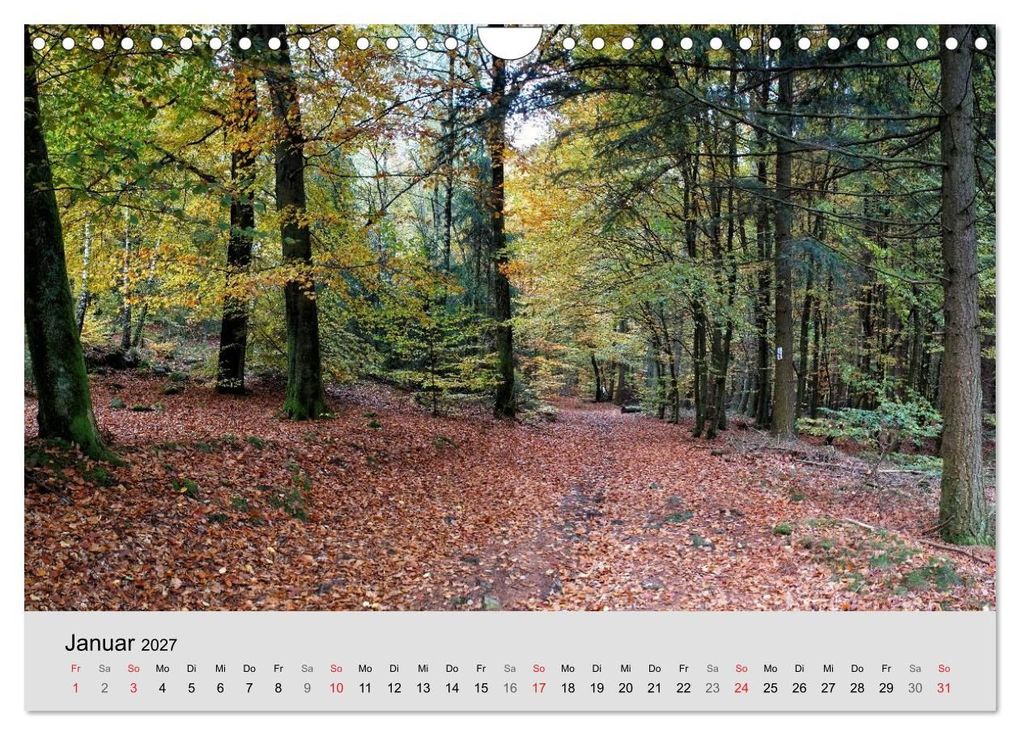 Weitere Ansicht: Saarland - unbekannte Schönheit (Wandkalender 2027 DIN A4 quer), CALVENDO Monatskalender | Thomas Becker, Calvendo