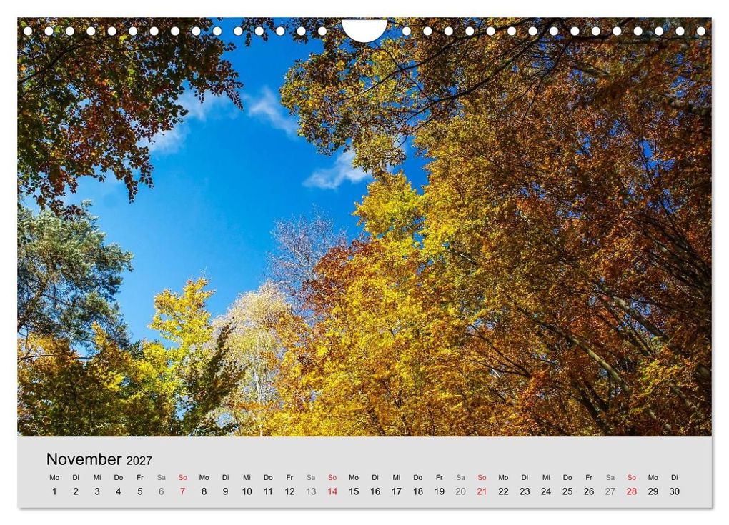 Weitere Ansicht: Saarland - unbekannte Schönheit (Wandkalender 2027 DIN A4 quer), CALVENDO Monatskalender | Thomas Becker, Calvendo