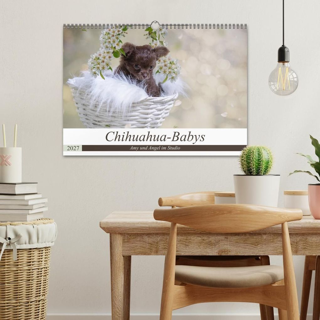 Weitere Ansicht: Chihuahua-Babys - Amy und Angel im Studio (Wandkalender 2027 DIN A3 quer), CALVENDO Monatskalender | Sonja Teßen, Calvendo