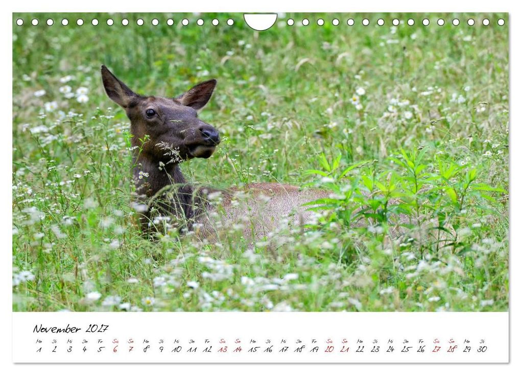 Weitere Ansicht: USA Ostküste Ein Road Trip (Wandkalender 2027 DIN A4 quer), CALVENDO Monatskalender | Calvendo