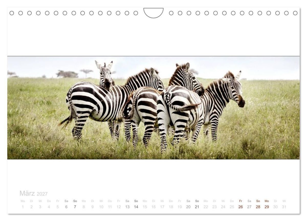 Weitere Ansicht: Serengeti Panorama (Wandkalender 2027 DIN A4 quer), CALVENDO Monatskalender | studio visuell photography, Calvendo