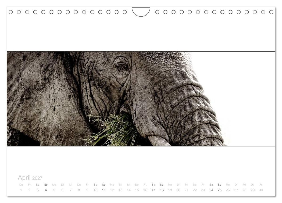 Weitere Ansicht: Serengeti Panorama (Wandkalender 2027 DIN A4 quer), CALVENDO Monatskalender | studio visuell photography, Calvendo