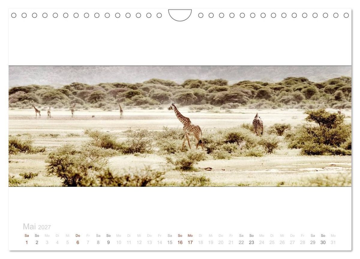 Weitere Ansicht: Serengeti Panorama (Wandkalender 2027 DIN A4 quer), CALVENDO Monatskalender | studio visuell photography, Calvendo