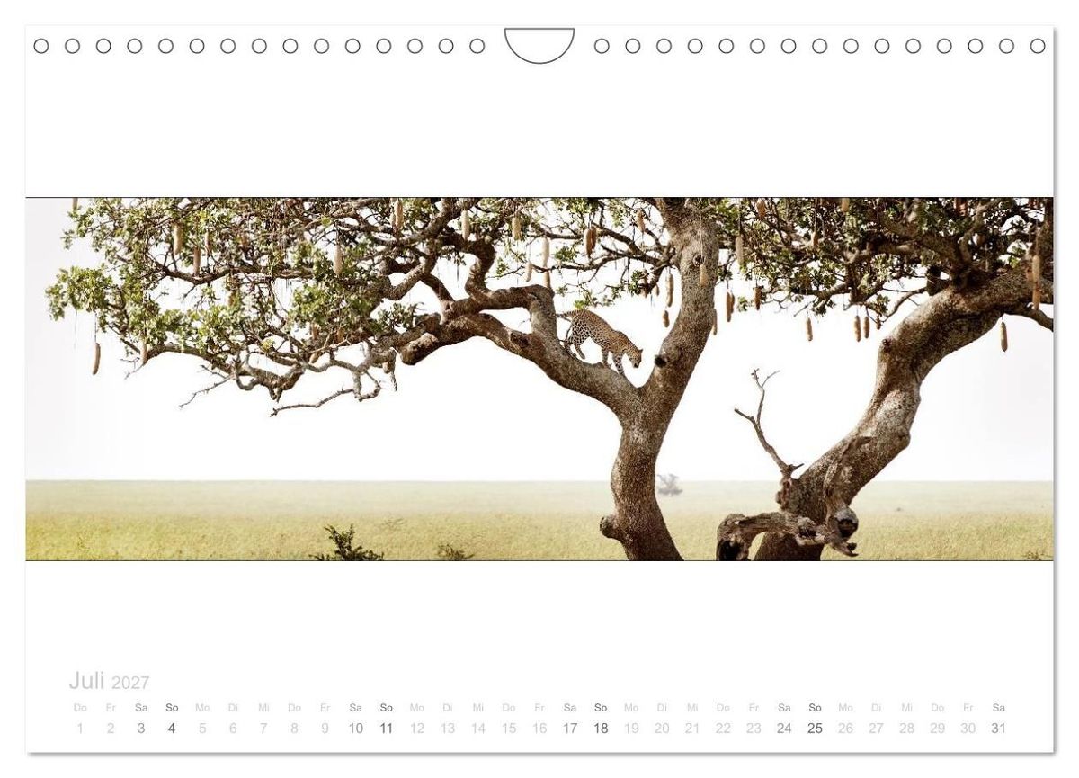 Weitere Ansicht: Serengeti Panorama (Wandkalender 2027 DIN A4 quer), CALVENDO Monatskalender | studio visuell photography, Calvendo