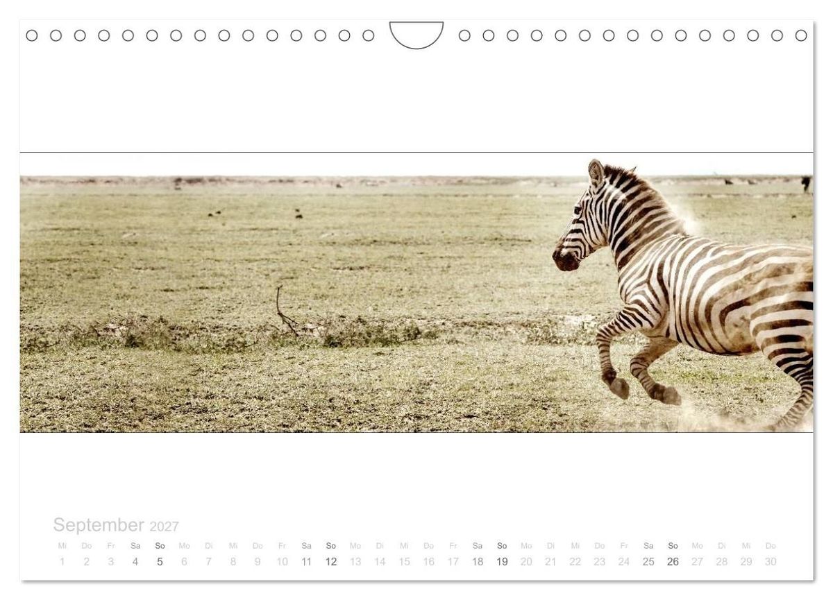 Weitere Ansicht: Serengeti Panorama (Wandkalender 2027 DIN A4 quer), CALVENDO Monatskalender | studio visuell photography, Calvendo