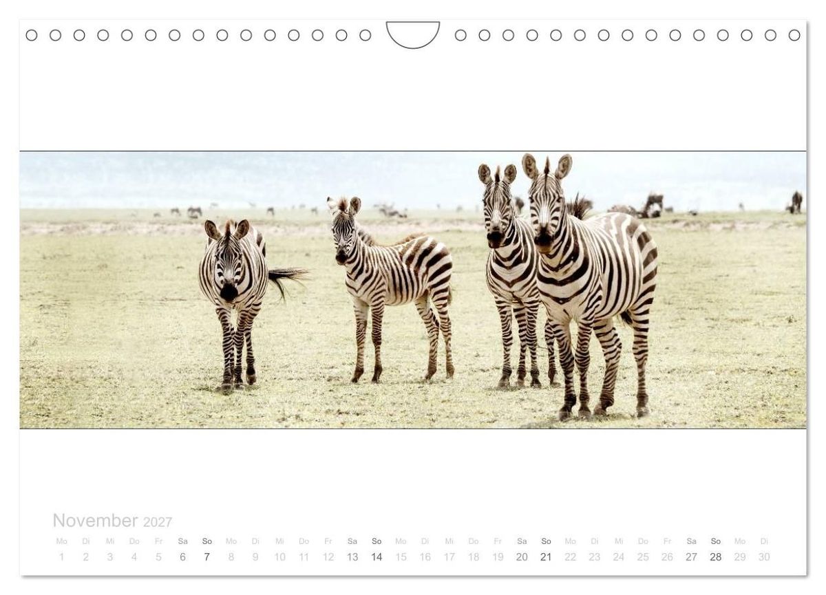 Weitere Ansicht: Serengeti Panorama (Wandkalender 2027 DIN A4 quer), CALVENDO Monatskalender | studio visuell photography, Calvendo