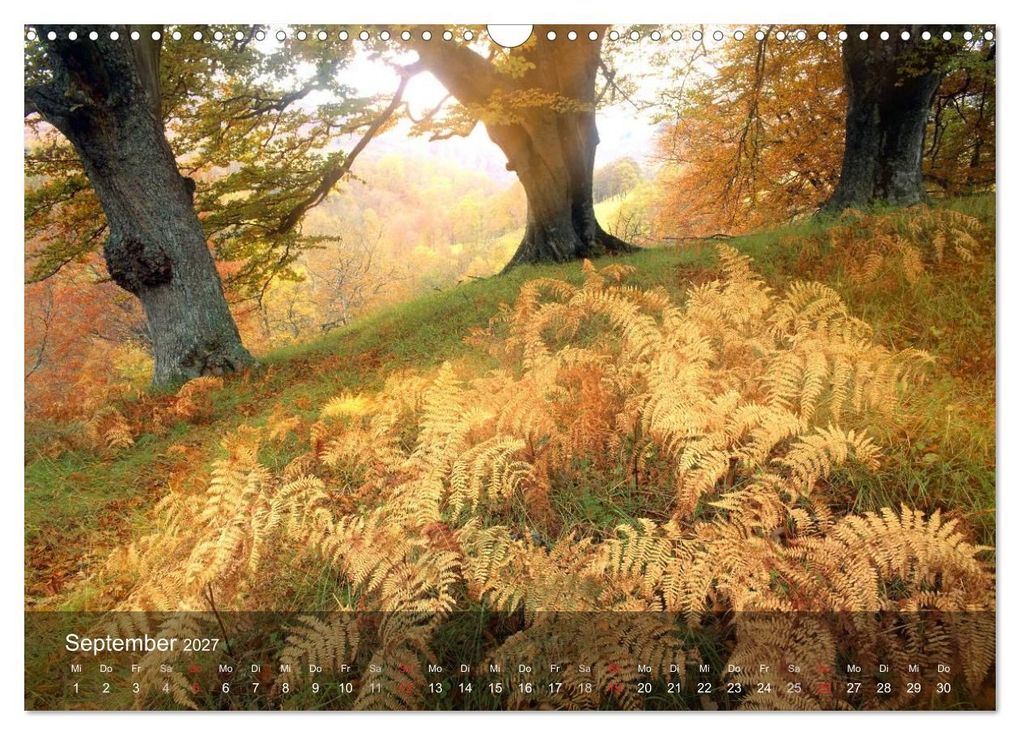 Weitere Ansicht: Nur ein Augenblick (Wandkalender 2027 DIN A3 quer), CALVENDO Monatskalender | Edmund Nägele F.R.P.S., Calvendo
