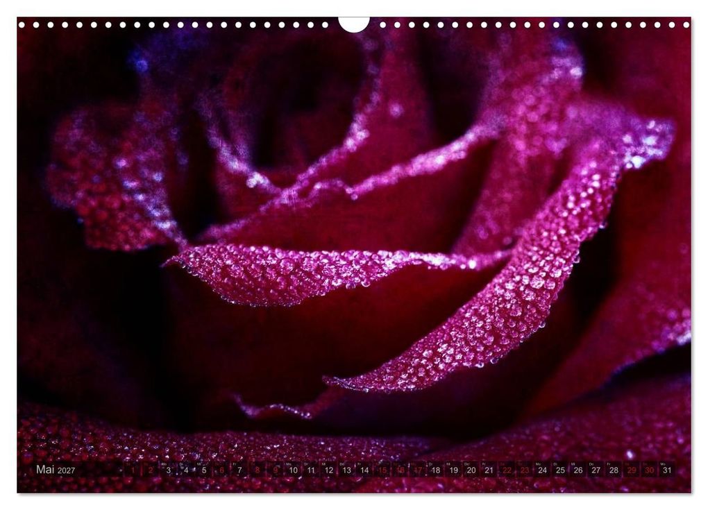 Weitere Ansicht: Gothic Rose - Rosen aus dem Garten der Finsternis (Wandkalender 2027 DIN A3 quer), CALVENDO Monatskalender | Martina Cross, Calvendo