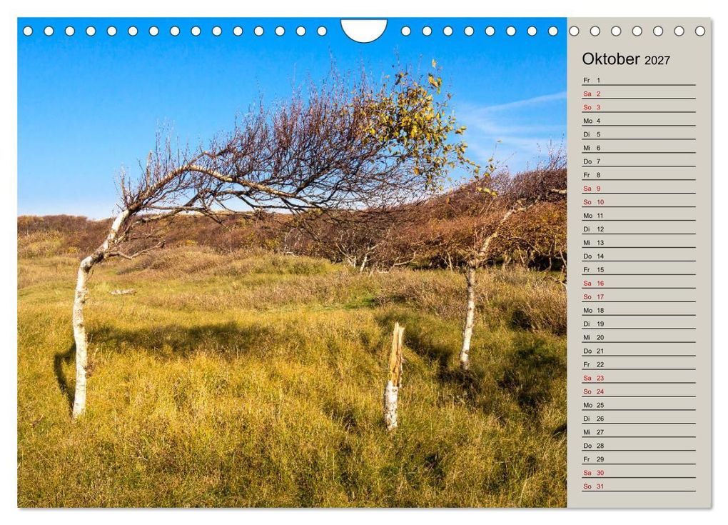 Weitere Ansicht: NORDERNEY Geburtstagskalender mit Planerfunktion (Wandkalender 2027 DIN A4 quer), CALVENDO Monatskalender | Andrea Dreegmeyer, Calvendo