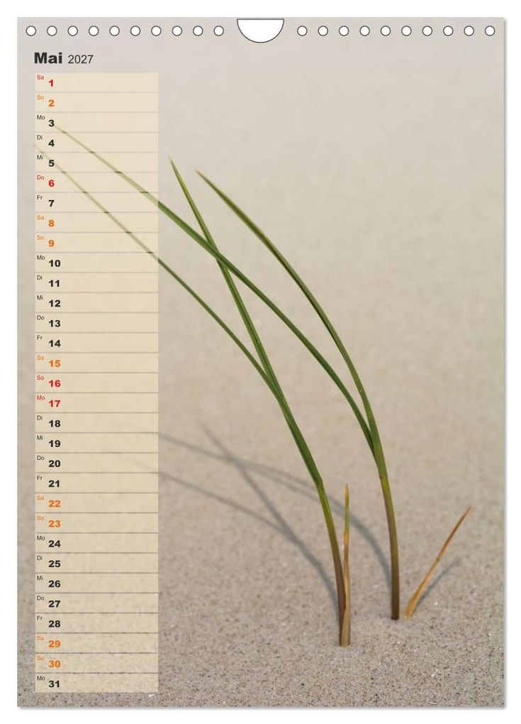 Weitere Ansicht: Zwischen Dünen und Watt / Geburtstagskalender (Wandkalender 2027 DIN A4 hoch), CALVENDO Monatskalender | Kathleen Bergmann, Calvendo