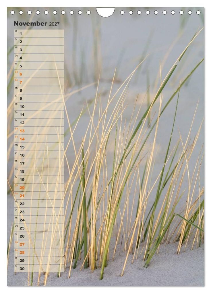 Weitere Ansicht: Zwischen Dünen und Watt / Geburtstagskalender (Wandkalender 2027 DIN A4 hoch), CALVENDO Monatskalender | Kathleen Bergmann, Calvendo