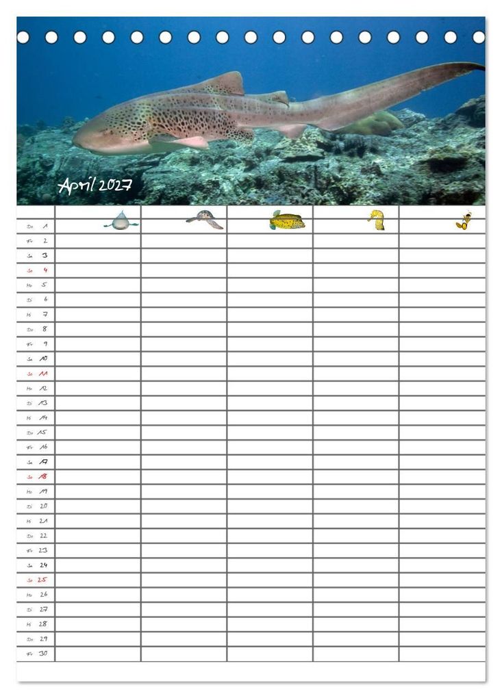 Weitere Ansicht: Der Unterwasser Familienplaner 2027 (Tischkalender 2027 DIN A5 hoch), CALVENDO Monatskalender | Sven Gruse, Calvendo