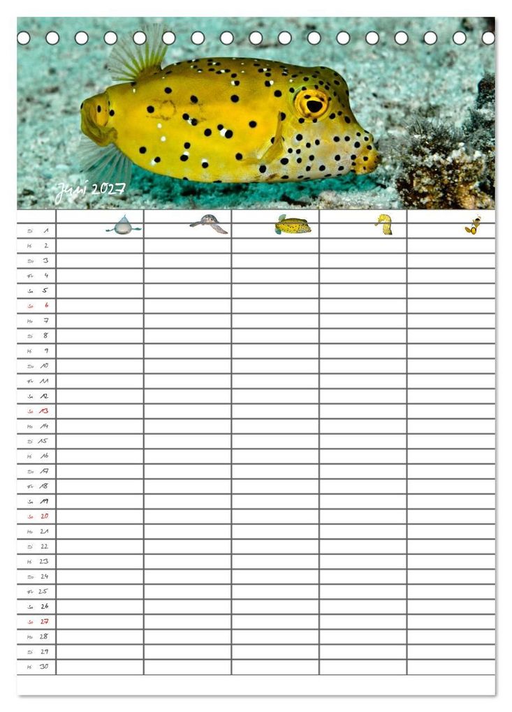 Weitere Ansicht: Der Unterwasser Familienplaner 2027 (Tischkalender 2027 DIN A5 hoch), CALVENDO Monatskalender | Sven Gruse, Calvendo