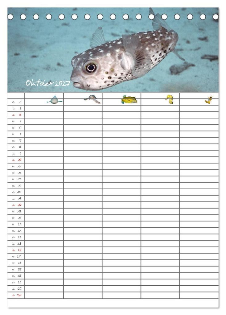 Weitere Ansicht: Der Unterwasser Familienplaner 2027 (Tischkalender 2027 DIN A5 hoch), CALVENDO Monatskalender | Sven Gruse, Calvendo