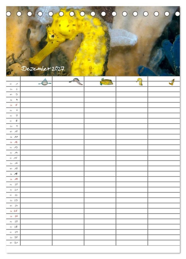 Weitere Ansicht: Der Unterwasser Familienplaner 2027 (Tischkalender 2027 DIN A5 hoch), CALVENDO Monatskalender | Sven Gruse, Calvendo