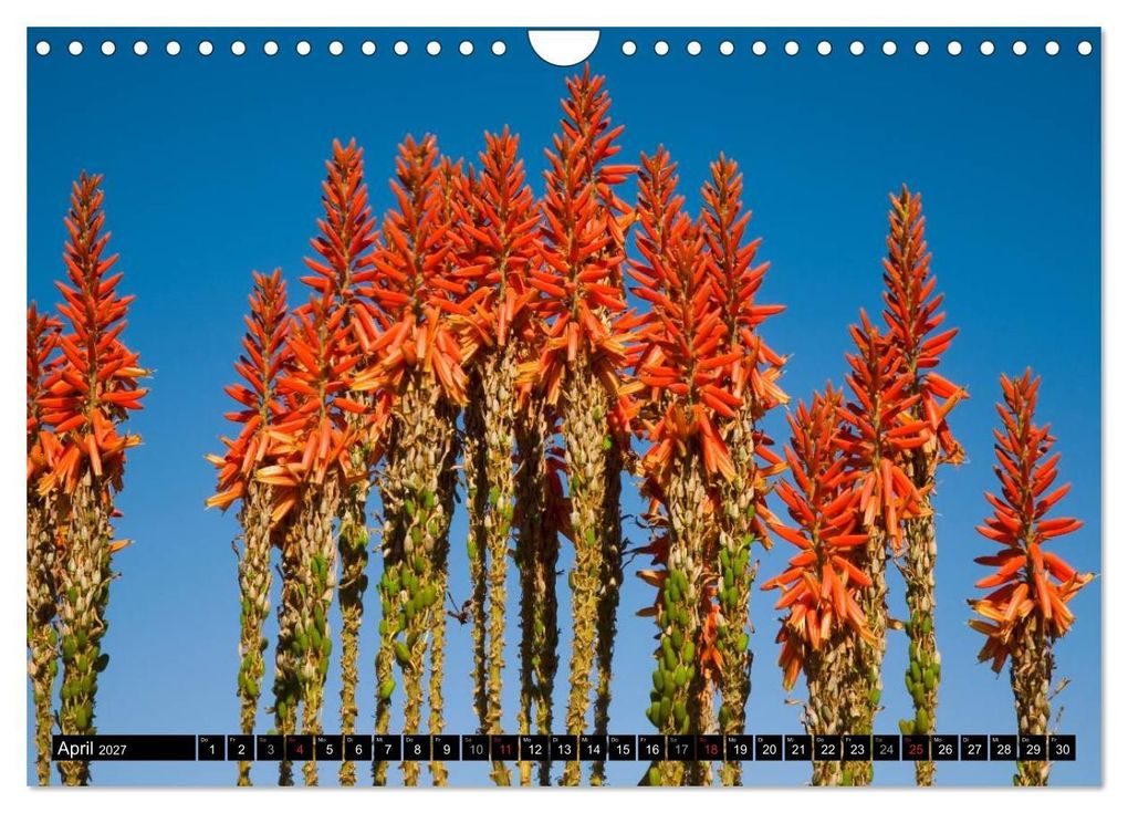 Weitere Ansicht: Namib Naukluft Nationalpark. NAMIBIA 2027 (Wandkalender 2027 DIN A4 quer), CALVENDO Monatskalender | Lucyna Koch, Calvendo