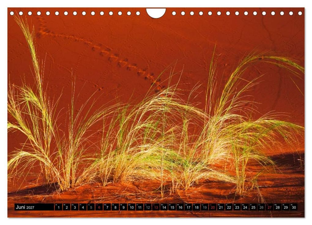 Weitere Ansicht: Namib Naukluft Nationalpark. NAMIBIA 2027 (Wandkalender 2027 DIN A4 quer), CALVENDO Monatskalender | Lucyna Koch, Calvendo